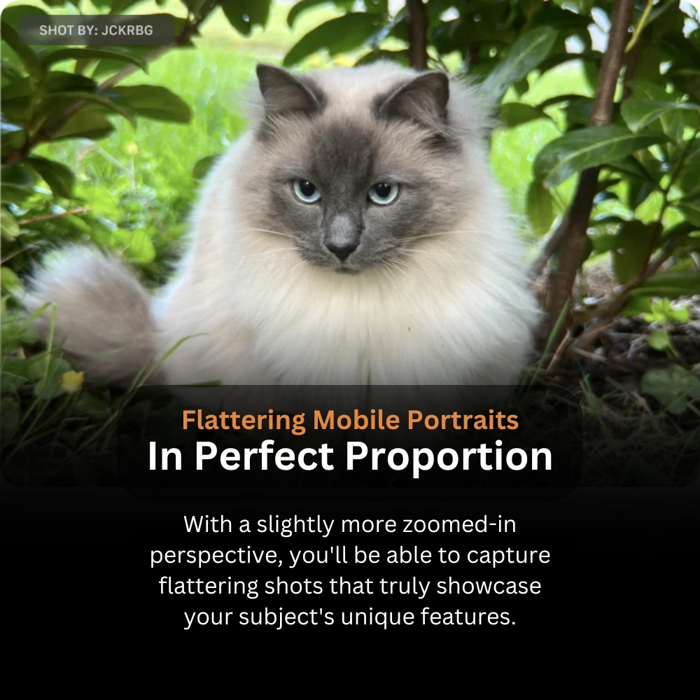 LensMega - 60mm Telephoto