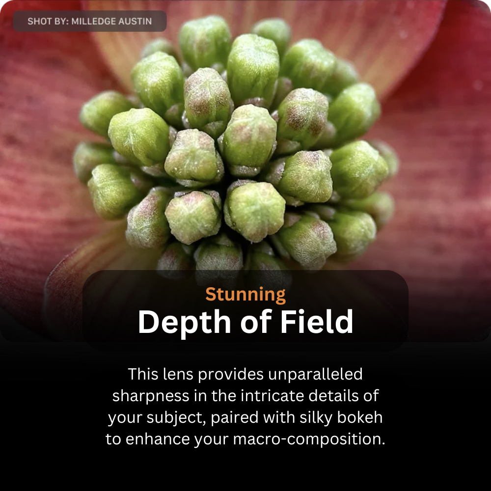 LensMega - 105mm Long Range Macro