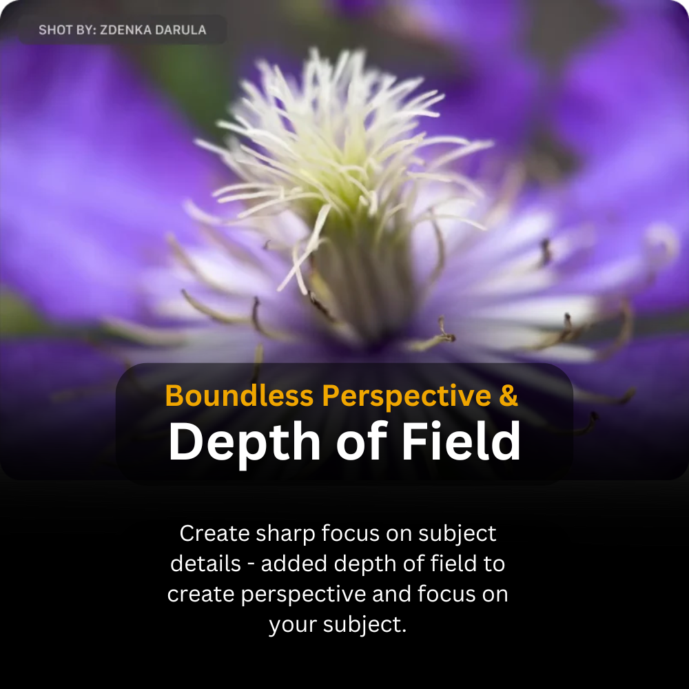 LensMega - 10x Traditional Macro